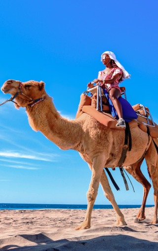 Camel Ride